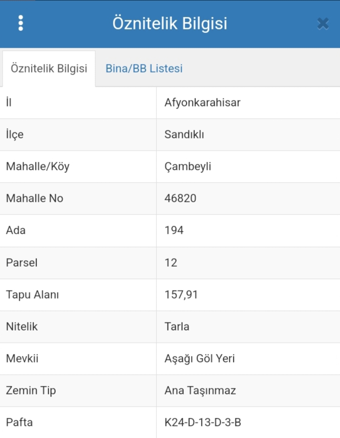 AFYONKARAHİSAR SANDIKLI ÇAMBEYLİ KÖYÜNDE 157M² TARLAMIZ SATILIK - AFYONKARAHİSAR SANDIKLI fotoğraf 14